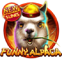 Funny Alpaca